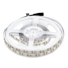 LED traka bijela 6500K 12VDC 8W/m 8mm IP20